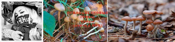 MDMA Premium VHQ Нефтегорск