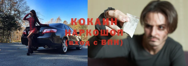 гашик Нефтекумск