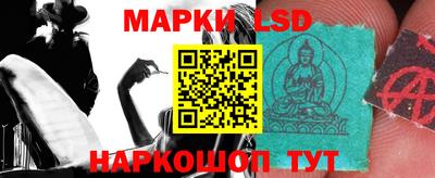 крисы Беслан