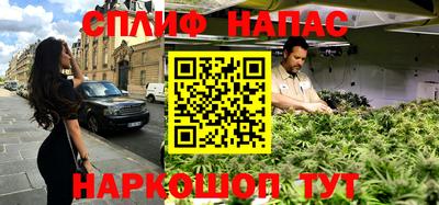 крисы Беслан