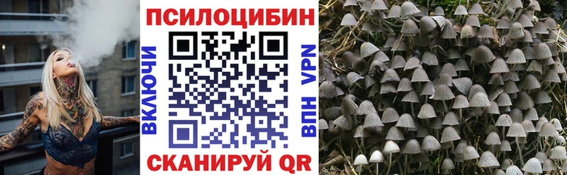 мега ССЫЛКА  маркетплейс наркотические препараты  Псилоцибиновые грибы Psilocybine cubensis  Бугуруслан 