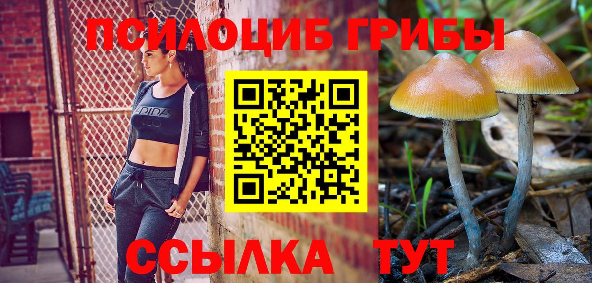 Псилоцибиновые грибы GOLDEN TEACHER  наркошоп  Бугуруслан  Псилоцибиновые грибы мухоморы 