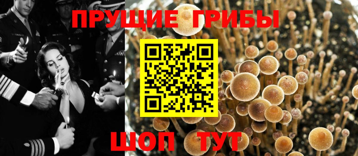 Галлюциногенные грибы GOLDEN TEACHER Бугуруслан