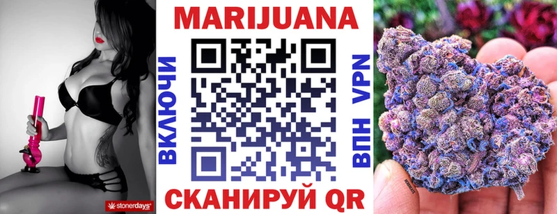 где найти   Бугуруслан  Марихуана сатива 
